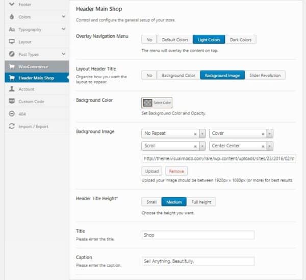 Creating a WordPress Store: Ecommerce Site Guide - Visualmodo
