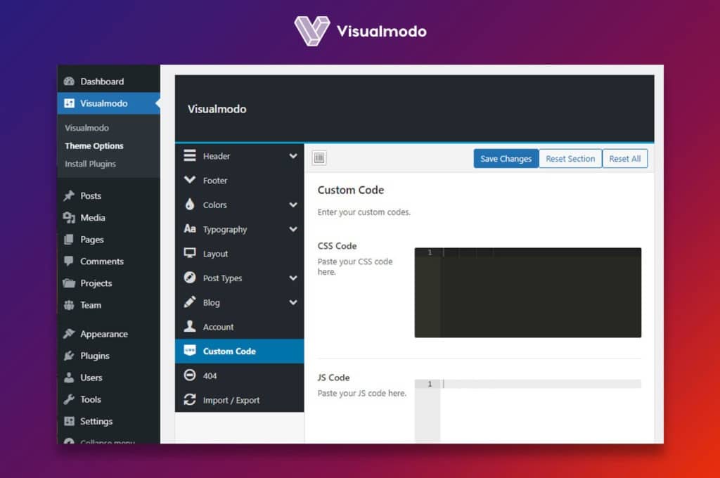visualmodo theme options custom code 