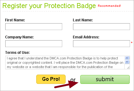 How To Use DMCA Badge To Protect WordPress Site?