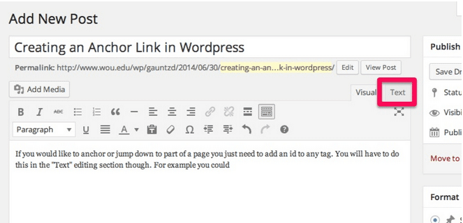 Text tab WordPress classic editor 