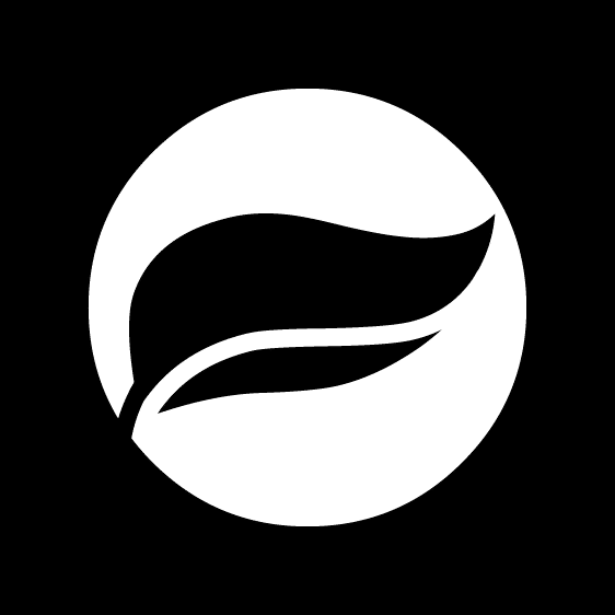Minimalist WordPress Theme - Logo Color