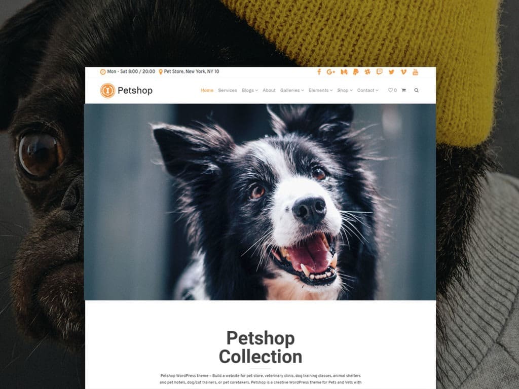 Petshop WordPress Theme