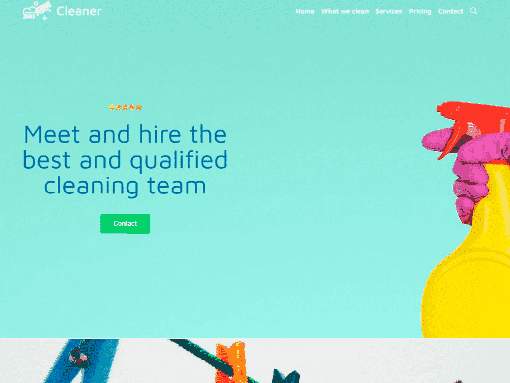 Cleaner