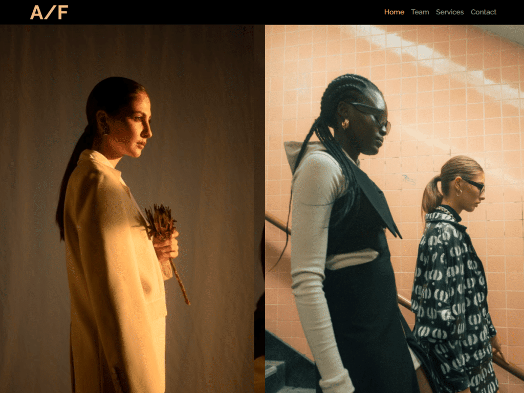 Fashion Agency