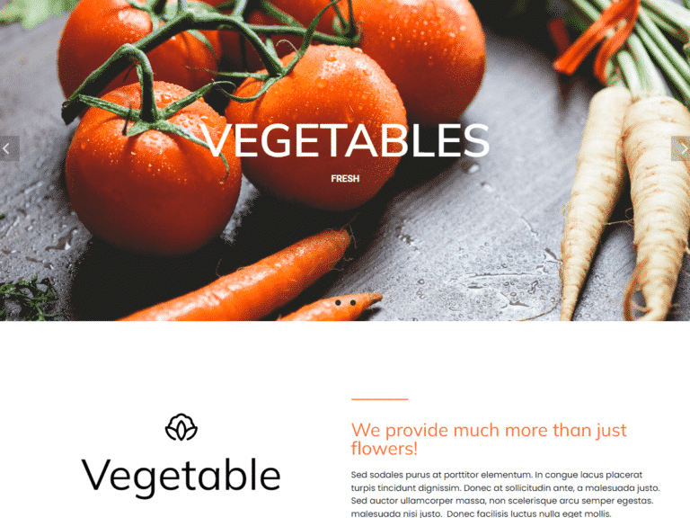 Fresh-vegetables-Anzu theme Borderless plugin WordPress pre-built website template