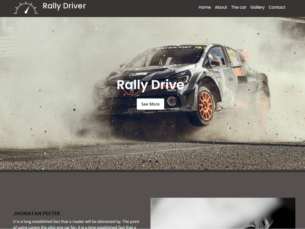 Rally Driver