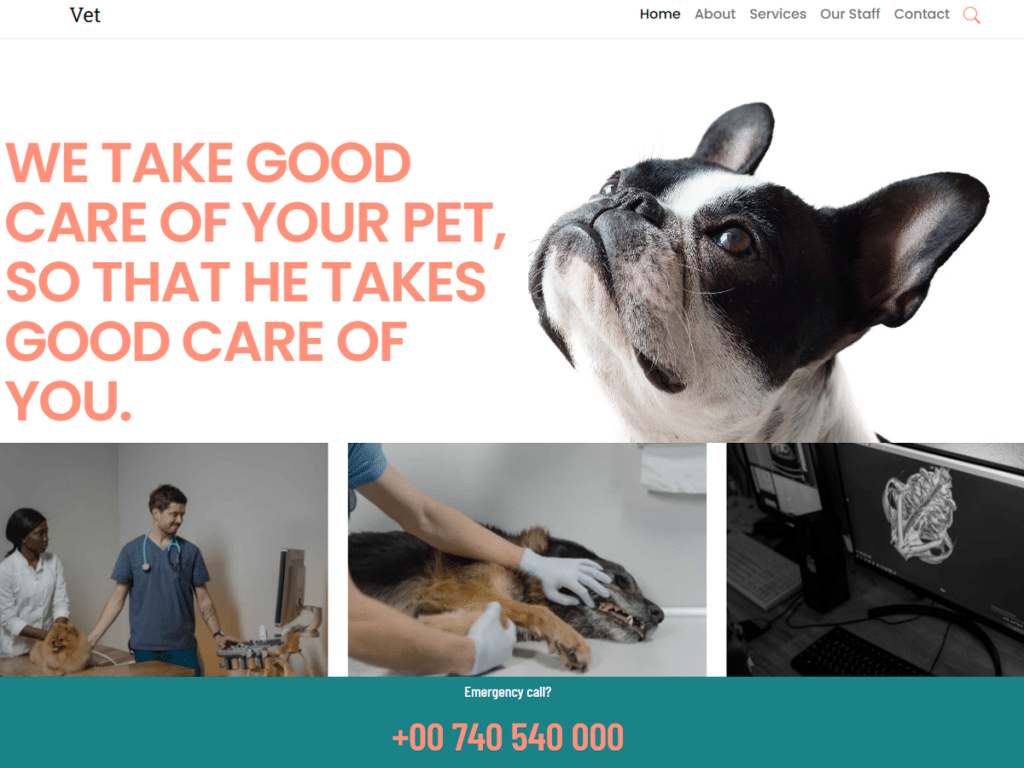 Vet