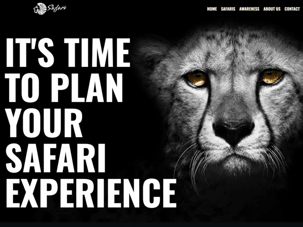 Wildlife Safari