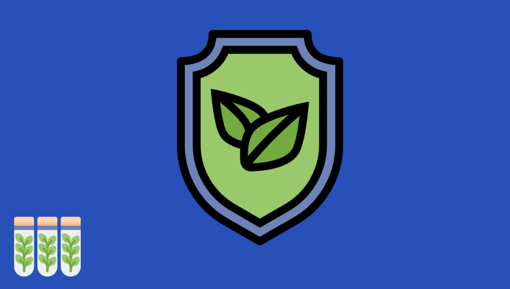 How To Choose A Cannabis Seed Bank - The Complete Guide